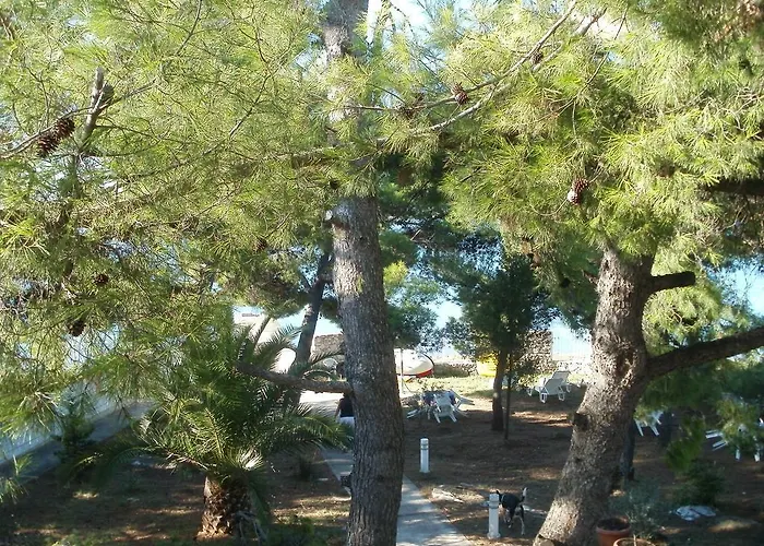 Διαμέρισμα A